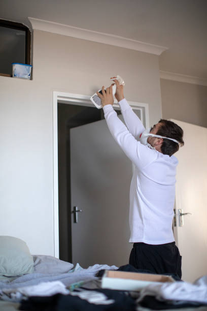 Environmental Consulting for Mold Prevention in Manhattan, KS