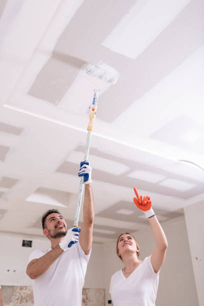 Trusted Manhattan, KS Mold Removal Experts